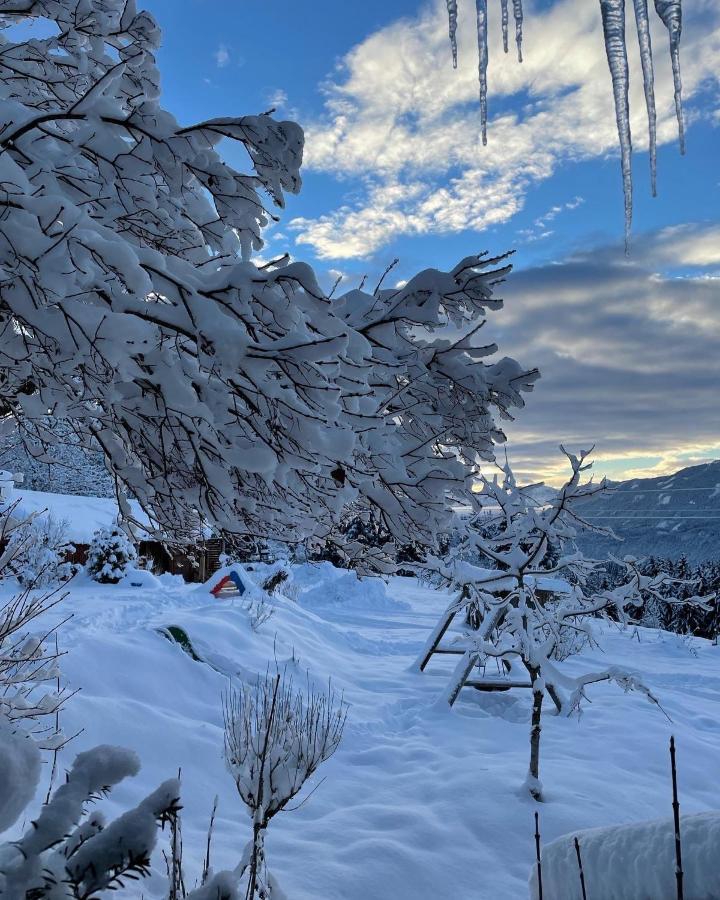 Naturgut Gailtal Sankt Stefan an der Gail Exteriér fotografie