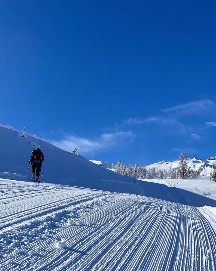 Naturgut Gailtal Sankt Stefan an der Gail Exteriér fotografie