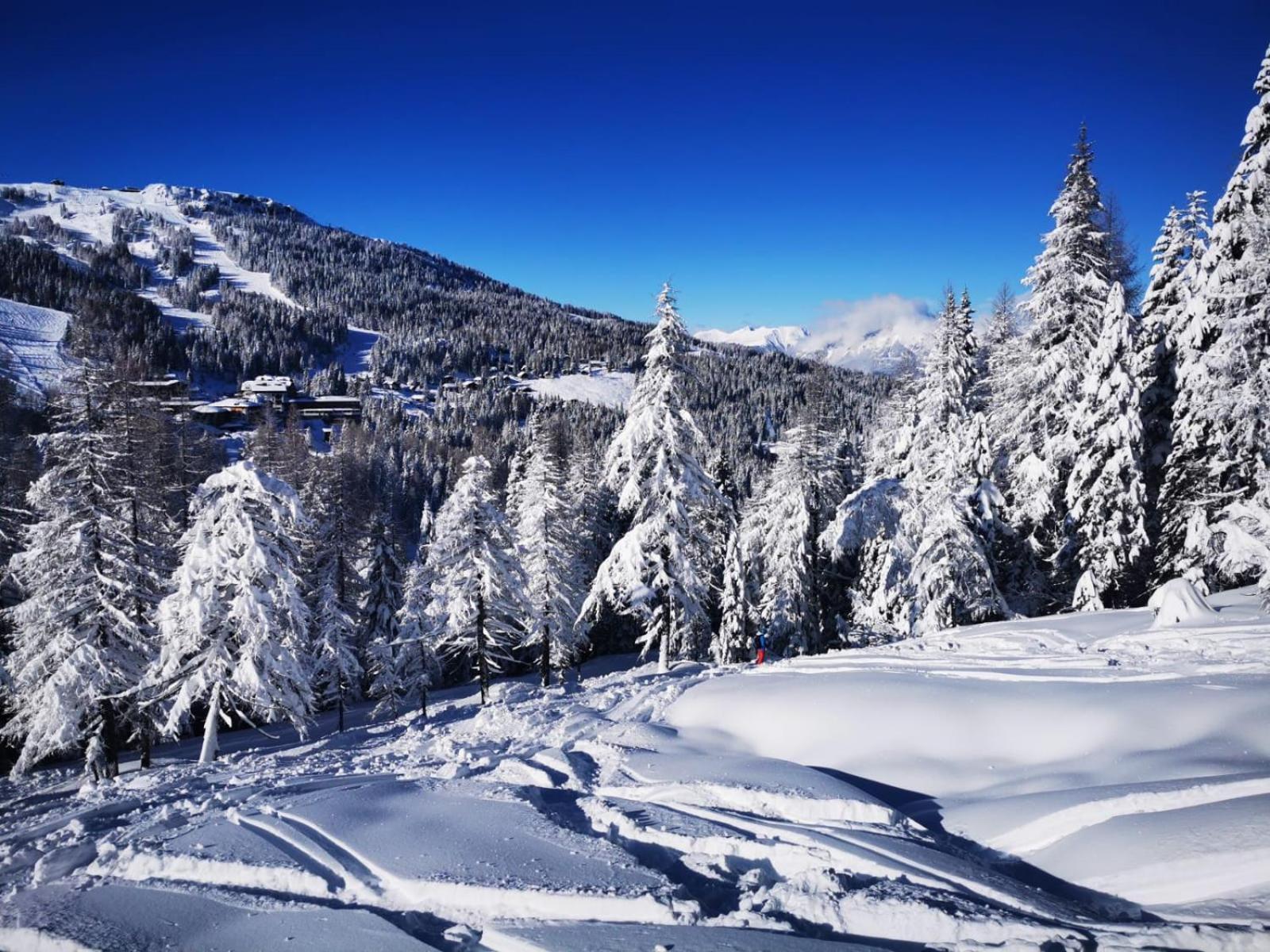 Naturgut Gailtal Sankt Stefan an der Gail Exteriér fotografie