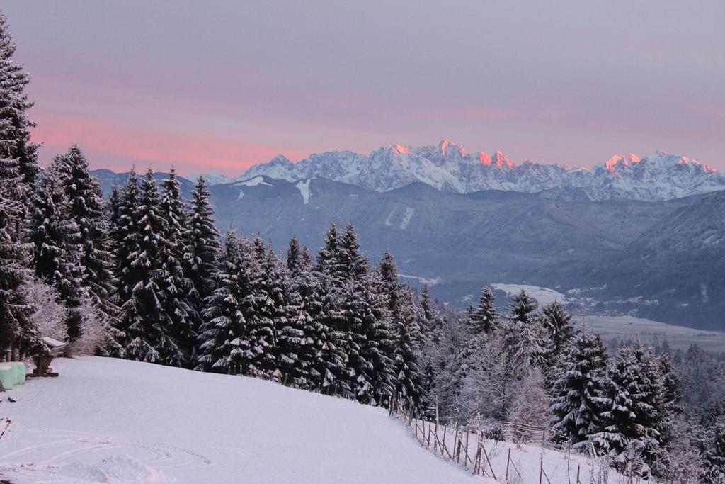 Naturgut Gailtal Sankt Stefan an der Gail Exteriér fotografie