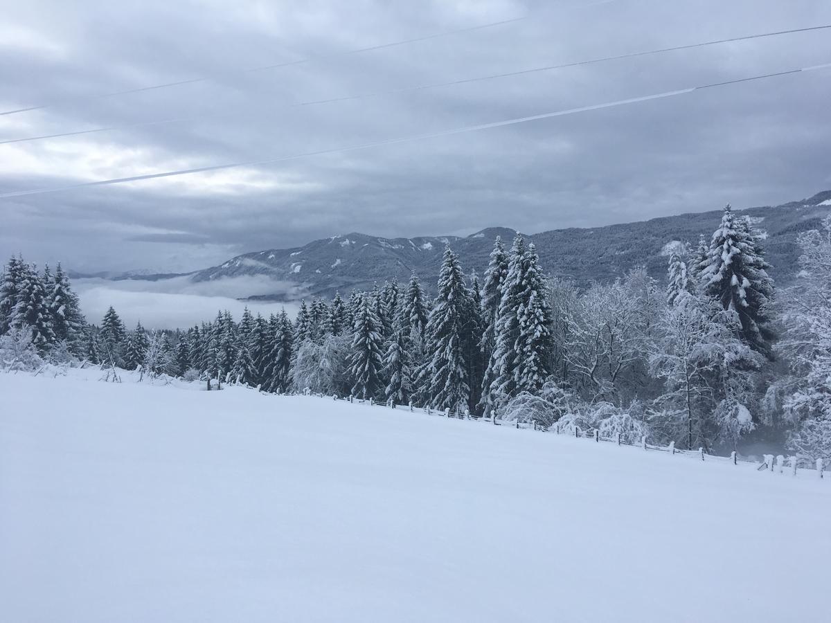 Naturgut Gailtal Sankt Stefan an der Gail Exteriér fotografie